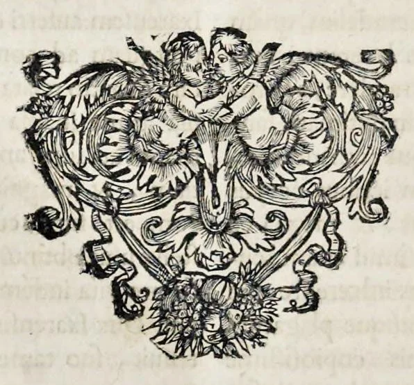 An illustration from Bellum Lusitanum : ejusque regni separatio a regno Castellensi cum abrogatione superadjecta Alfonsi regis Lusitani, 1684, leaf 273