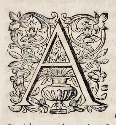 An illustration from Bellum Lusitanum : ejusque regni separatio a regno Castellensi cum abrogatione superadjecta Alfonsi regis Lusitani, 1684, leaf 426