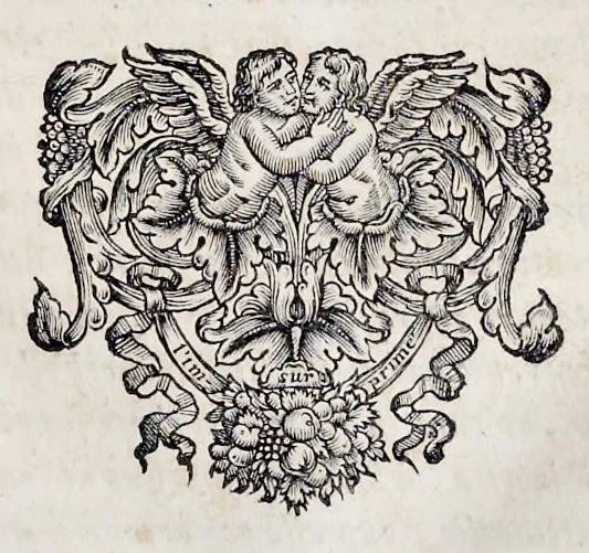 An illustration from Bellum Lusitanum : ejusque regni separatio a regno Castellensi cum abrogatione superadjecta Alfonsi regis Lusitani, 1684, leaf 78