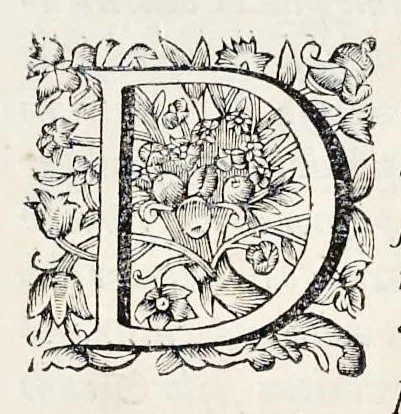 An illustration from Bellum Lusitanum : ejusque regni separatio a regno Castellensi cum abrogatione superadjecta Alfonsi regis Lusitani, 1684, leaf 8