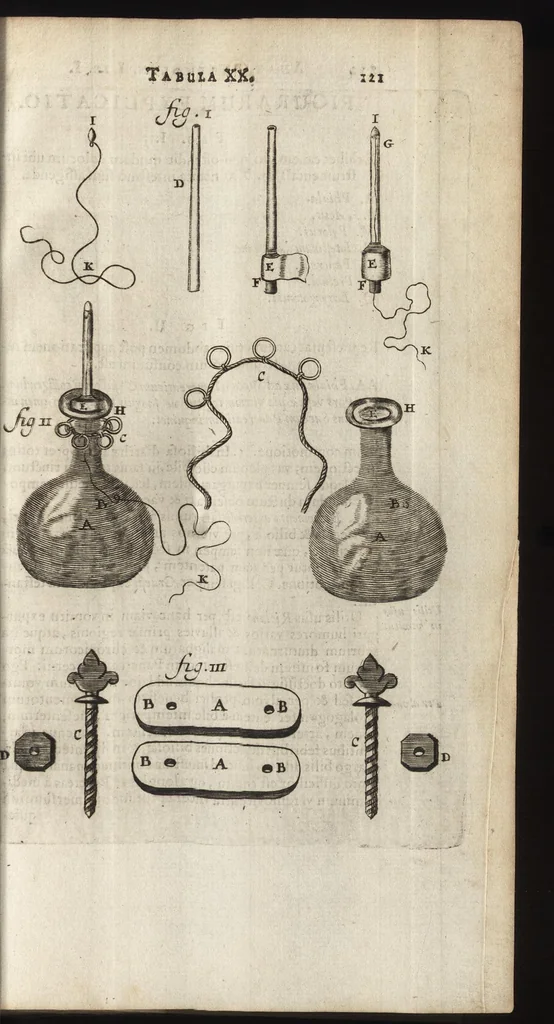 An illustration from Thomae Bartholini Anatome ex omnium veterum recentiorumque observationibus inprimis institutionibus b.m. parentis Caspari Bartholini : ad circulationem Harvejanam, et vasa lymphatica, 1686, leaf 156