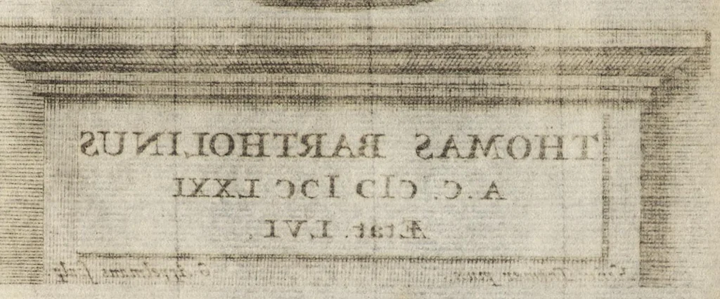 An illustration from Thomae Bartholini Anatome ex omnium veterum recentiorumque observationibus inprimis institutionibus b.m. parentis Caspari Bartholini : ad circulationem Harvejanam, et vasa lymphatica, 1686, leaf 32