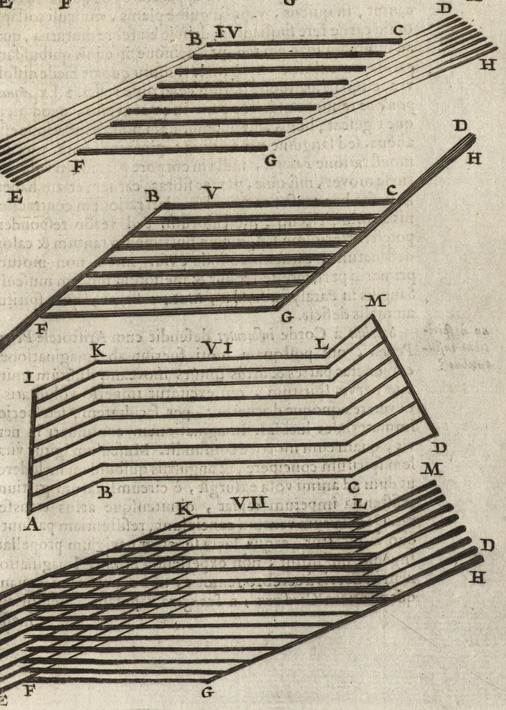 An illustration from Thomae Bartholini Anatome ex omnium veterum recentiorumque observationibus inprimis institutionibus b.m. parentis Caspari Bartholini : ad circulationem Harvejanam, et vasa lymphatica, 1686, leaf 76