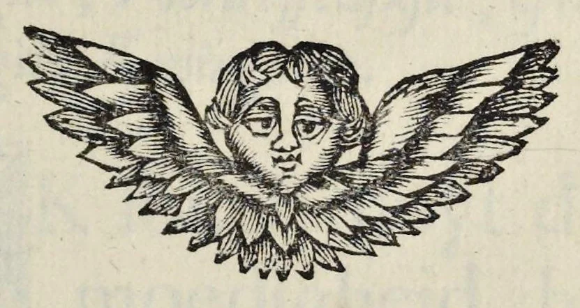 An illustration from Leeuwenhoeks werken, 1684, leaf 384