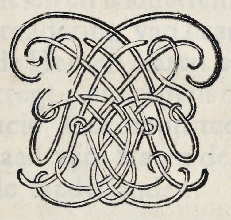 An illustration from Leeuwenhoeks werken, 1684, leaf 12