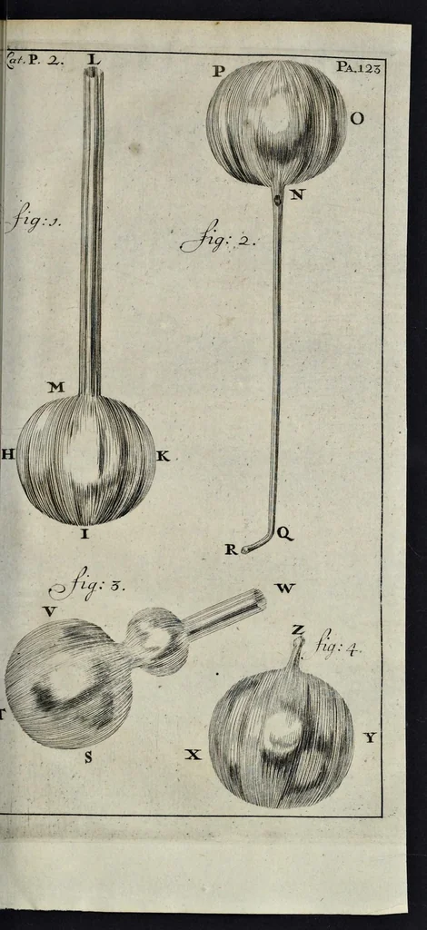 An illustration from Leeuwenhoeks werken, 1684, leaf 148