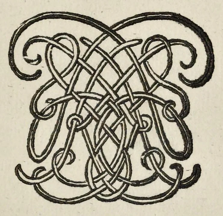 An illustration from Leeuwenhoeks werken, 1684, leaf 210