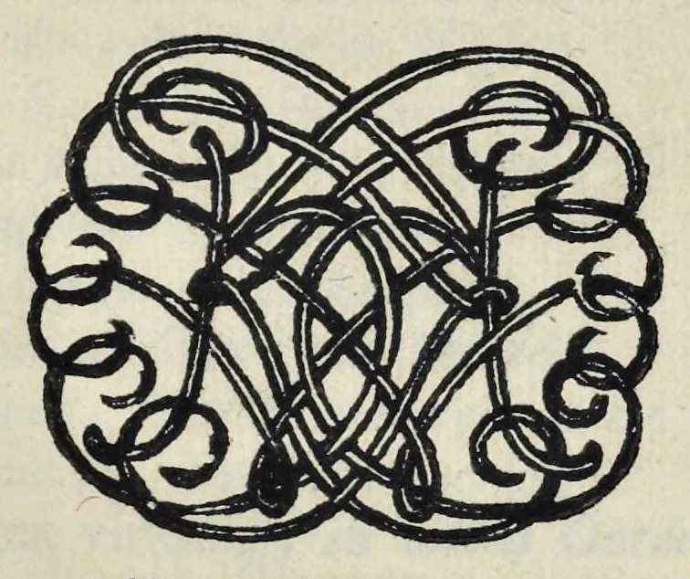 An illustration from Leeuwenhoeks werken, 1684, leaf 402