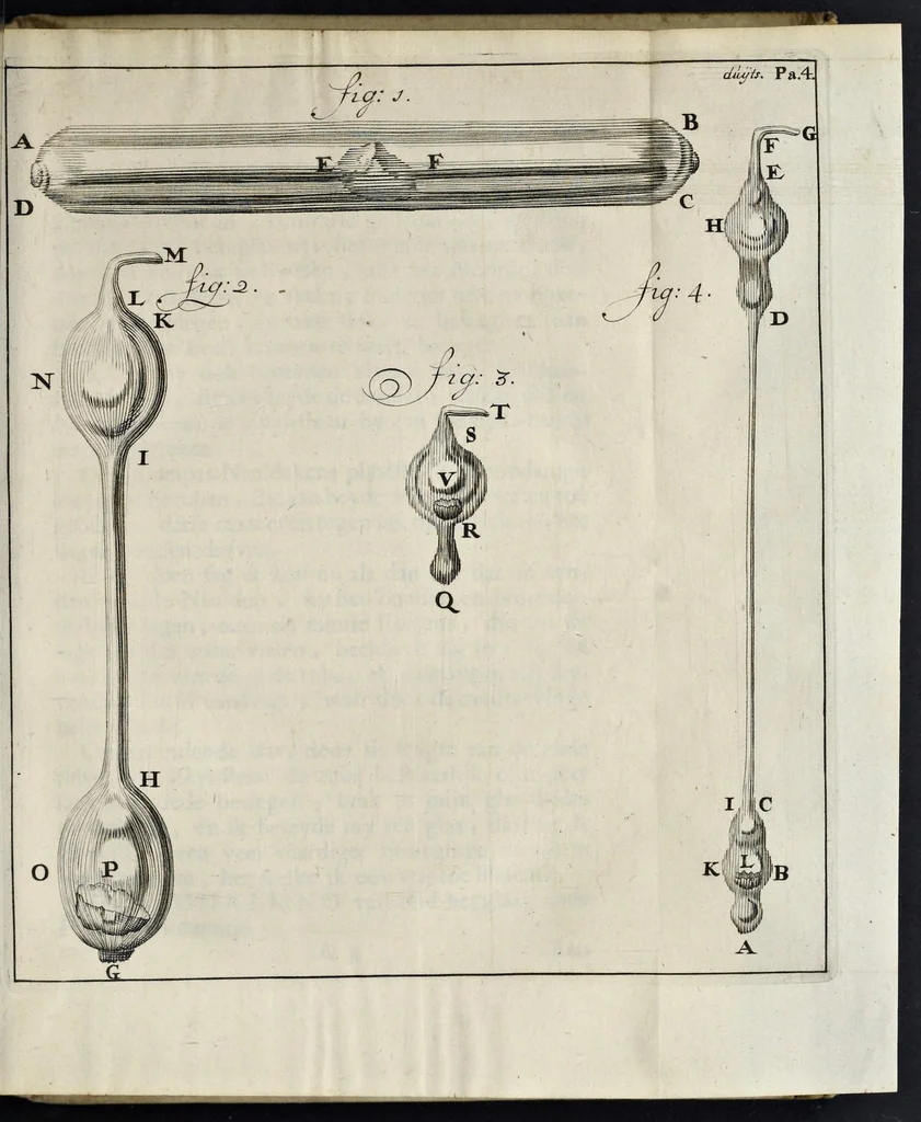 An illustration from Leeuwenhoeks werken, 1684, leaf 412