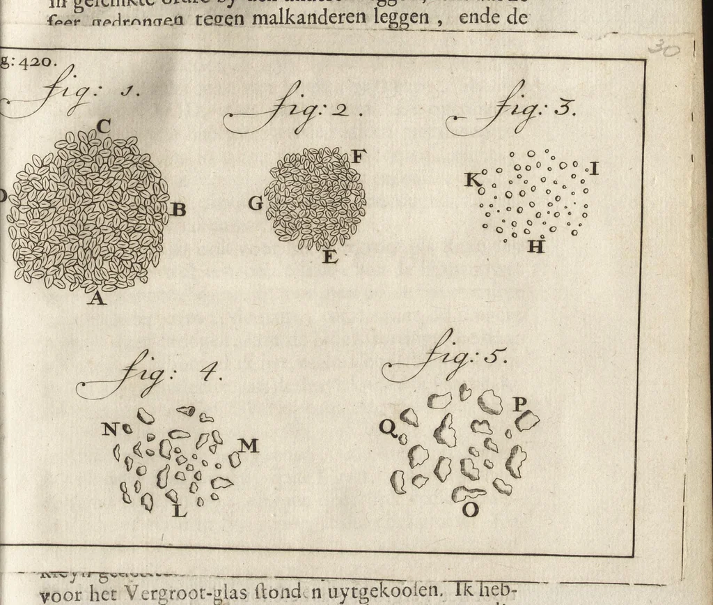 An illustration from Leeuwenhoeks werken, 1684, leaf 496