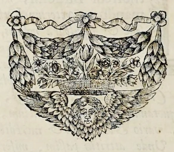 An illustration from Topographia historica Gallo-Brabantiae : quâ Romanduae oppida muncipia & dominia illustrantur : atque monasteria, nobiliumque praetoria castellaque in aes incisa exhibentur, 1692, leaf 15