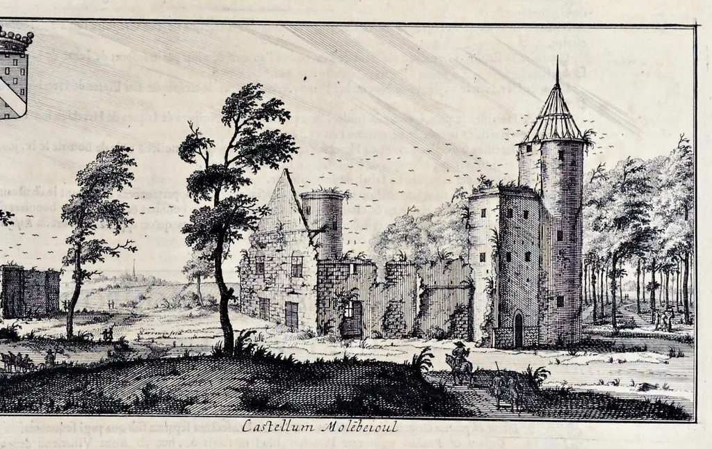 An illustration from Topographia historica Gallo-Brabantiae : quâ Romanduae oppida muncipia & dominia illustrantur : atque monasteria, nobiliumque praetoria castellaque in aes incisa exhibentur, 1692, leaf 286
