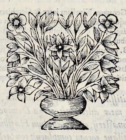 An illustration from Topographia historica Gallo-Brabantiae : quâ Romanduae oppida muncipia & dominia illustrantur : atque monasteria, nobiliumque praetoria castellaque in aes incisa exhibentur, 1692, leaf 98