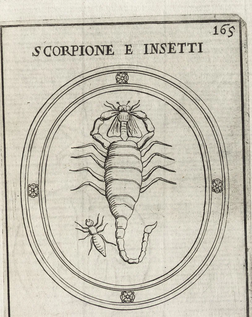 An illustration from Le gemme antiche figurate, 1700, leaf 438