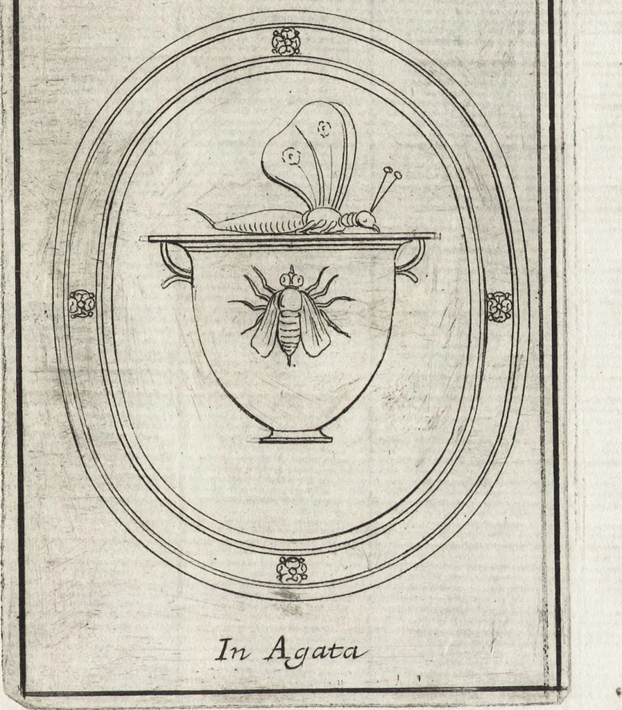 An illustration from Le gemme antiche figurate, 1700, leaf 492