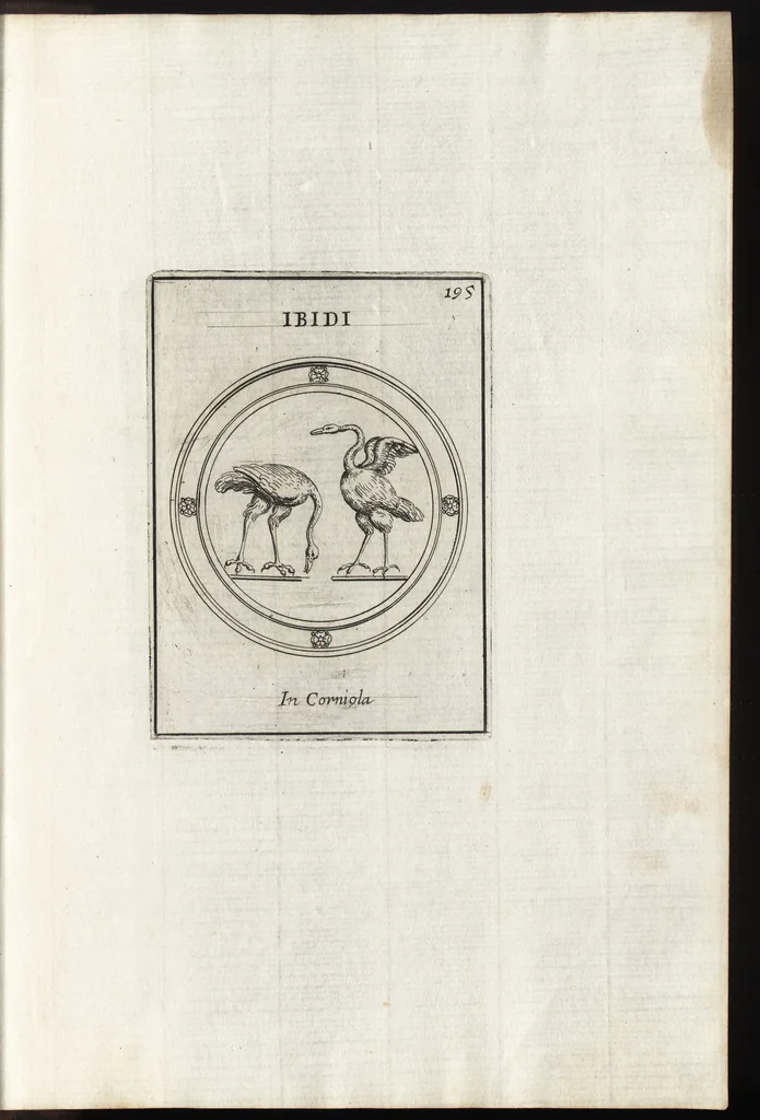 An illustration from Le gemme antiche figurate, 1700, leaf 498