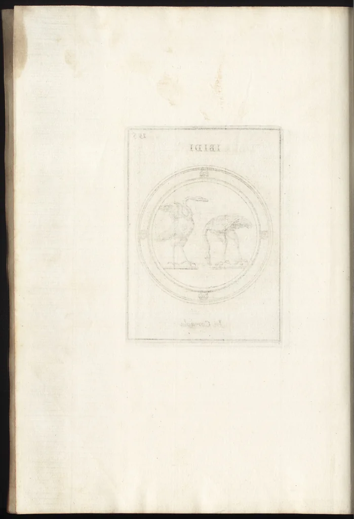 An illustration from Le gemme antiche figurate, 1700, leaf 499