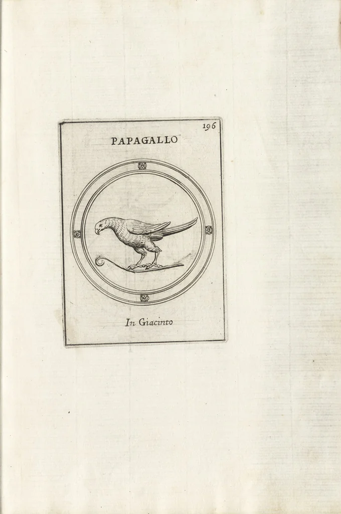 An illustration from Le gemme antiche figurate, 1700, leaf 500