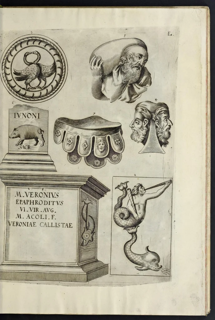 An illustration from Onuphrii Panuinii Veronensis Antiquitatum Veronensium libri VIII : nunc primum in lucem editi variisq[ue] iconibus et antiquis inscriptionibus locupletati, 1648, leaf 196