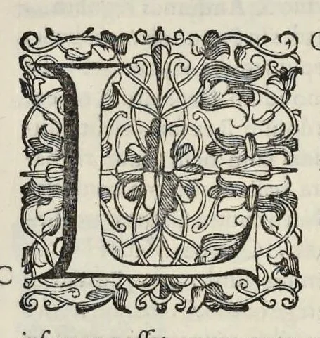 An illustration from Onuphrii Panuinii Veronensis Antiquitatum Veronensium libri VIII : nunc primum in lucem editi variisq[ue] iconibus et antiquis inscriptionibus locupletati, 1648, leaf 220