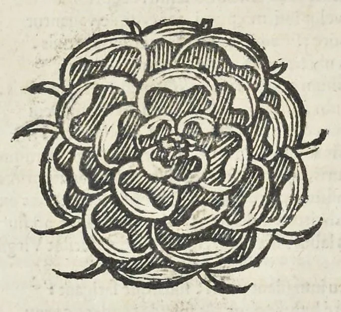 An illustration from Hieroglyphica, siue, Antiqua schemata gemmarum anularium : quaesita moralia, politica, historica, medica, philosophica, & sublimiora, omnigenam eruditionem & altiorem sapientiam attingentia, 1653, leaf 329