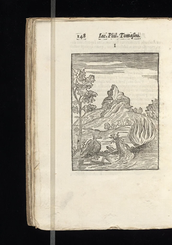 An illustration from Iacobi Philippi Tomasini Patauini ... Petrarcha rediuiuus : integram poetae celeberrimi vitam iconibus aere celatis exhibens : accessit nobilissimae foeminae Laurae breuis historia, 1635, leaf 167