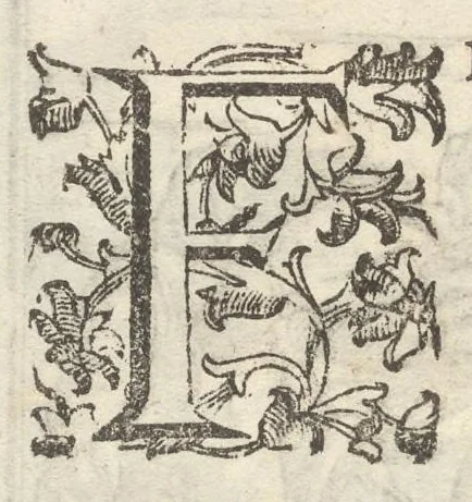 An illustration from Iacobi Philippi Tomasini Patauini ... Petrarcha rediuiuus : integram poetae celeberrimi vitam iconibus aere celatis exhibens : accessit nobilissimae foeminae Laurae breuis historia, 1635, leaf 177