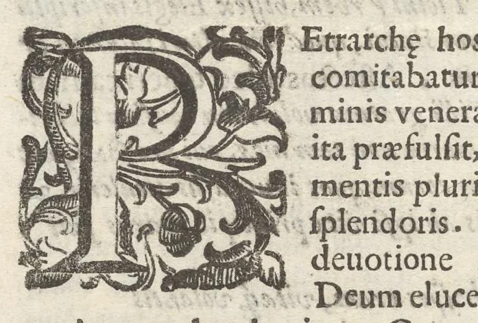 An illustration from Iacobi Philippi Tomasini Patauini ... Petrarcha rediuiuus : integram poetae celeberrimi vitam iconibus aere celatis exhibens : accessit nobilissimae foeminae Laurae breuis historia, 1635, leaf 181