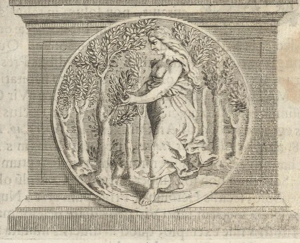 An illustration from Iacobi Philippi Tomasini Patauini ... Petrarcha rediuiuus : integram poetae celeberrimi vitam iconibus aere celatis exhibens : accessit nobilissimae foeminae Laurae breuis historia, 1635, leaf 199
