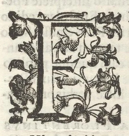 An illustration from Iacobi Philippi Tomasini Patauini ... Petrarcha rediuiuus : integram poetae celeberrimi vitam iconibus aere celatis exhibens : accessit nobilissimae foeminae Laurae breuis historia, 1635, leaf 22