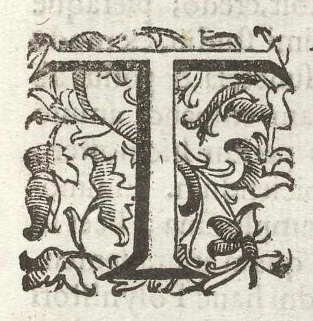 An illustration from Iacobi Philippi Tomasini Patauini ... Petrarcha rediuiuus : integram poetae celeberrimi vitam iconibus aere celatis exhibens : accessit nobilissimae foeminae Laurae breuis historia, 1635, leaf 66