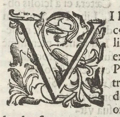 An illustration from Iacobi Philippi Tomasini Patauini ... Petrarcha rediuiuus : integram poetae celeberrimi vitam iconibus aere celatis exhibens : accessit nobilissimae foeminae Laurae breuis historia, 1635, leaf 71