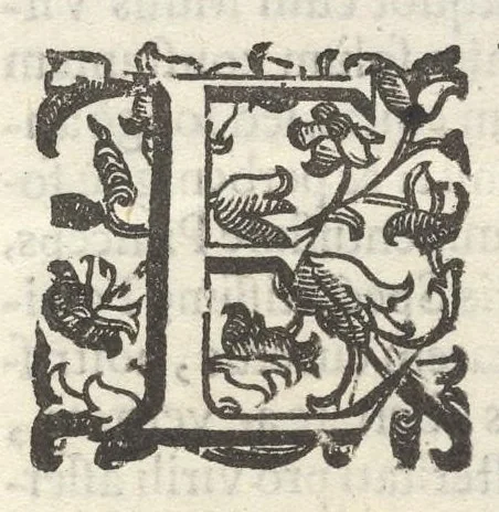 An illustration from Iacobi Philippi Tomasini Patauini ... Petrarcha rediuiuus : integram poetae celeberrimi vitam iconibus aere celatis exhibens : accessit nobilissimae foeminae Laurae breuis historia, 1635, leaf 8