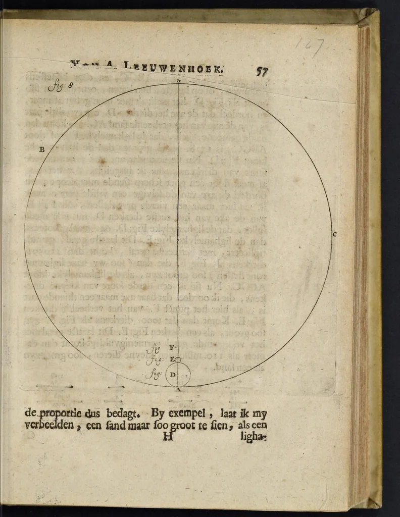 An illustration from Leeuwenhoeks werken, 1684, leaf 142