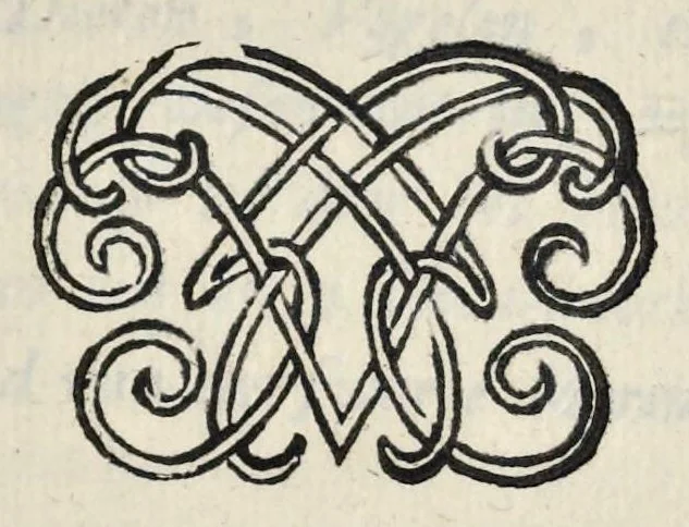 An illustration from Leeuwenhoeks werken, 1684, leaf 278