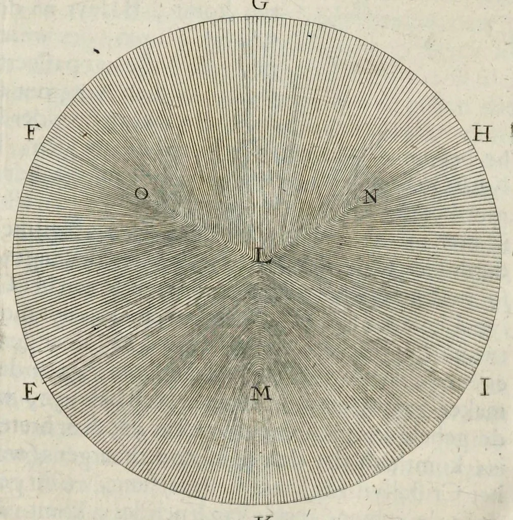 An illustration from Leeuwenhoeks werken, 1684, leaf 285