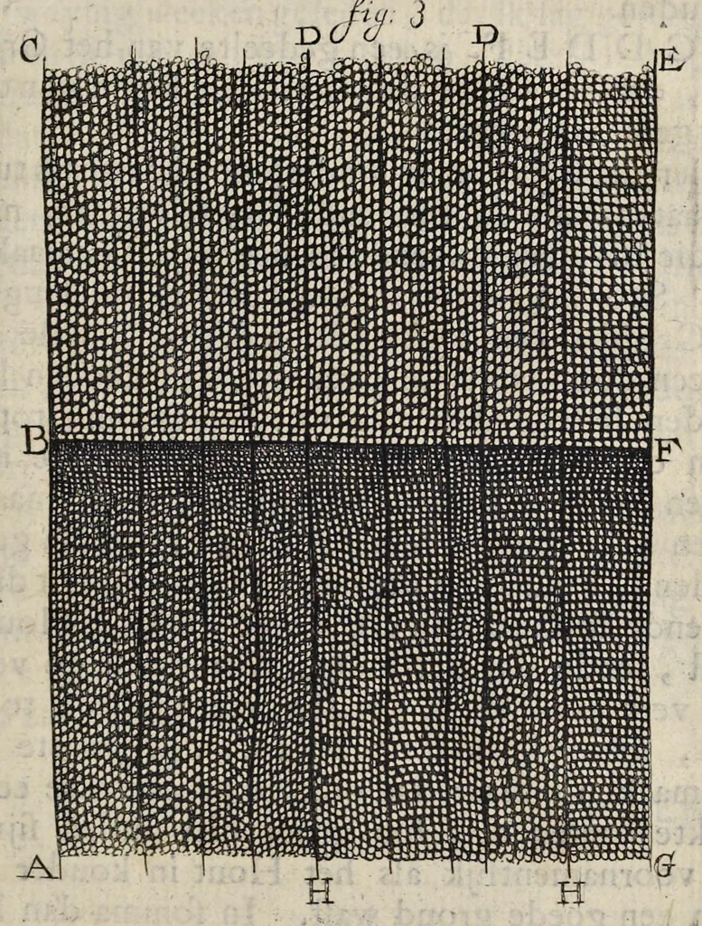 An illustration from Leeuwenhoeks werken, 1684, leaf 568
