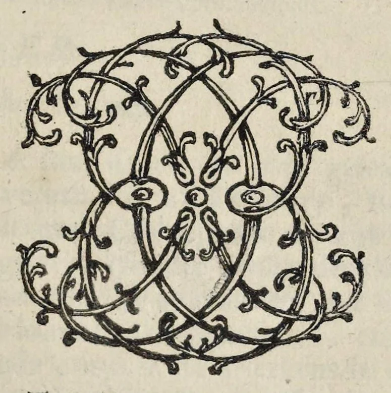 An illustration from Leeuwenhoeks werken, 1684, leaf 6