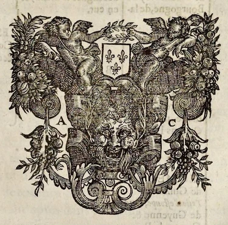 An illustration from Histoire des ministres d'estat : qui ont serui sous les roys de France de la troisiesme lignee, avec le sommaire des regnes ausquels ils ont vescu : le tout justifié par les chroniques des auteurs contemporains, chartes d'eglises, lettres & memoires des affaires d'estat, registres anciens, & autres bonnes preuues, 1642, leaf 132
