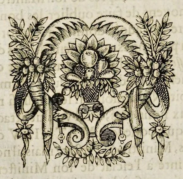 An illustration from Histoire des ministres d'estat : qui ont serui sous les roys de France de la troisiesme lignee, avec le sommaire des regnes ausquels ils ont vescu : le tout justifié par les chroniques des auteurs contemporains, chartes d'eglises, lettres & memoires des affaires d'estat, registres anciens, & autres bonnes preuues, 1642, leaf 519