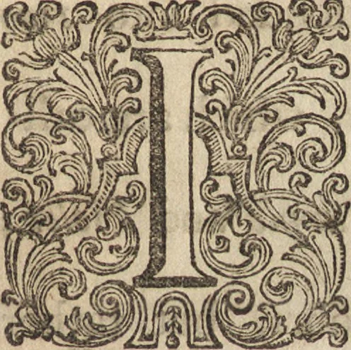 An illustration from The art of painting, in all its branches : methodically demonstrated by discourses and plates, and exemplified by remarks on the paintings of the best masters, and their perfections and oversights laid open, 1738, leaf 212