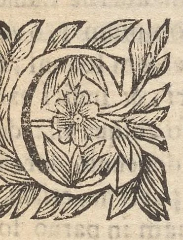 An illustration from Les merveilles de la ville de Rome : ou il est traictè des eglises, stations & reliques des corps saincts, qui y sont : auec la guide, qui enseigne aux estrangers à aysèment trouuer les choses plus remarquables de Rome : auec les noms de papes, empereurs & autres princes chrestiens ..., 1637, leaf 192