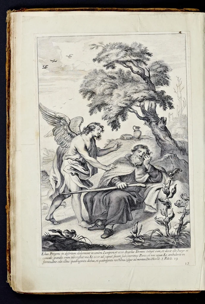 An illustration from Vitae S. Eliae prophetae, S. Mariae Magdalenae de Pazzi & S. Alberti Ordinis Beatissimae Virginis Mariae de Monte Carmelo, iconibus expressae quibus 40 aliae pulcherrimae ejusdem Ordinis sanctorum sanctarumque adjunctae sunt, leaf 45