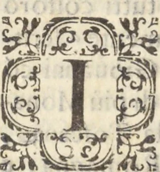 An illustration from Historia del patriarcha S. Giovan Gualberto, primo abbate et institutore del monastico ordine del Vallombrosa, 1640, leaf 311