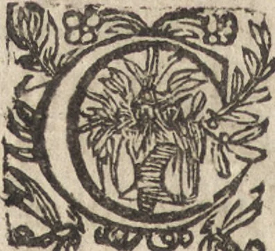 An illustration from Le commentaire royal, ou, L'histoire des Yncas, roys du Peru : contenant leur origine, depuis le premier Ynca Manco Capac, leur establissement, leur idolatrie, leurs sacrifices, leurs vies, leurs loix, leur gouuernement en paix & en guerre ... : ensemble vne descriptton particuliere des animaux, des fruicts, des mineraux, des plantes, & des singularitez du païs : oeuure curieuse, & tout à faict necessaire à l'intelligence de l'Histoire des Indes, 1633, leaf 115