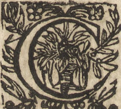 An illustration from Le commentaire royal, ou, L'histoire des Yncas, roys du Peru : contenant leur origine, depuis le premier Ynca Manco Capac, leur establissement, leur idolatrie, leurs sacrifices, leurs vies, leurs loix, leur gouuernement en paix & en guerre ... : ensemble vne descriptton particuliere des animaux, des fruicts, des mineraux, des plantes, & des singularitez du païs : oeuure curieuse, & tout à faict necessaire à l'intelligence de l'Histoire des Indes, 1633, leaf 131