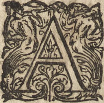 An illustration from Le commentaire royal, ou, L'histoire des Yncas, roys du Peru : contenant leur origine, depuis le premier Ynca Manco Capac, leur establissement, leur idolatrie, leurs sacrifices, leurs vies, leurs loix, leur gouuernement en paix & en guerre ... : ensemble vne descriptton particuliere des animaux, des fruicts, des mineraux, des plantes, & des singularitez du païs : oeuure curieuse, & tout à faict necessaire à l'intelligence de l'Histoire des Indes, 1633, leaf 135