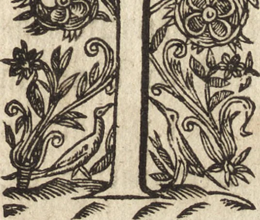 An illustration from Le commentaire royal, ou, L'histoire des Yncas, roys du Peru : contenant leur origine, depuis le premier Ynca Manco Capac, leur establissement, leur idolatrie, leurs sacrifices, leurs vies, leurs loix, leur gouuernement en paix & en guerre ... : ensemble vne descriptton particuliere des animaux, des fruicts, des mineraux, des plantes, & des singularitez du païs : oeuure curieuse, & tout à faict necessaire à l'intelligence de l'Histoire des Indes, 1633, leaf 14
