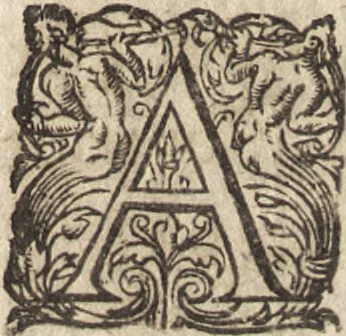 An illustration from Le commentaire royal, ou, L'histoire des Yncas, roys du Peru : contenant leur origine, depuis le premier Ynca Manco Capac, leur establissement, leur idolatrie, leurs sacrifices, leurs vies, leurs loix, leur gouuernement en paix & en guerre ... : ensemble vne descriptton particuliere des animaux, des fruicts, des mineraux, des plantes, & des singularitez du païs : oeuure curieuse, & tout à faict necessaire à l'intelligence de l'Histoire des Indes, 1633, leaf 150