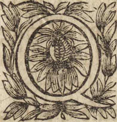 An illustration from Le commentaire royal, ou, L'histoire des Yncas, roys du Peru : contenant leur origine, depuis le premier Ynca Manco Capac, leur establissement, leur idolatrie, leurs sacrifices, leurs vies, leurs loix, leur gouuernement en paix & en guerre ... : ensemble vne descriptton particuliere des animaux, des fruicts, des mineraux, des plantes, & des singularitez du païs : oeuure curieuse, & tout à faict necessaire à l'intelligence de l'Histoire des Indes, 1633, leaf 158
